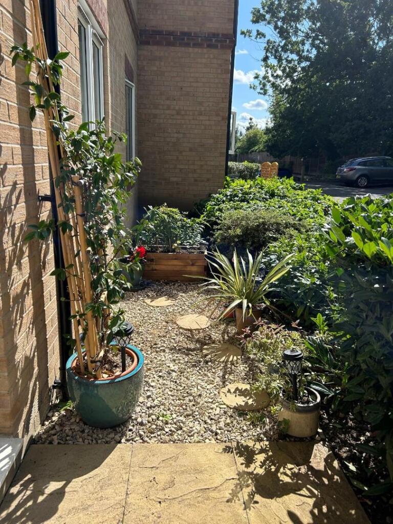 Patio 3.jpg
