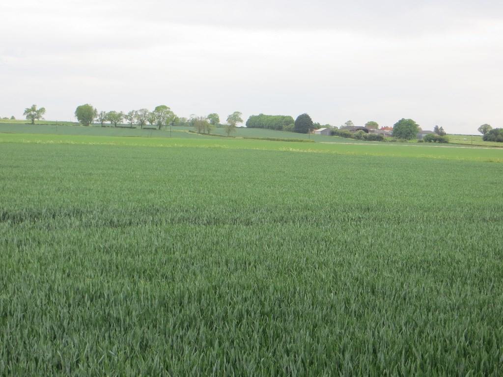 Land Billingborough 
