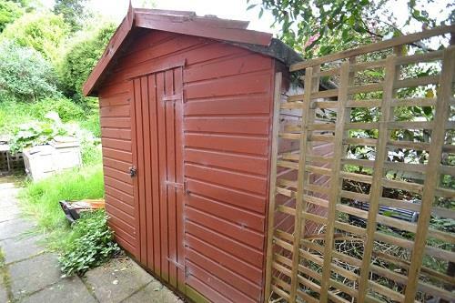shed pic 1.JPG