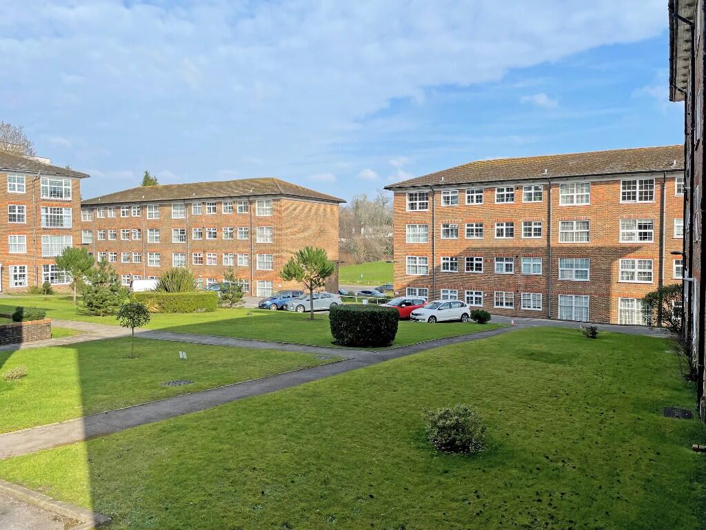 Communal Garden