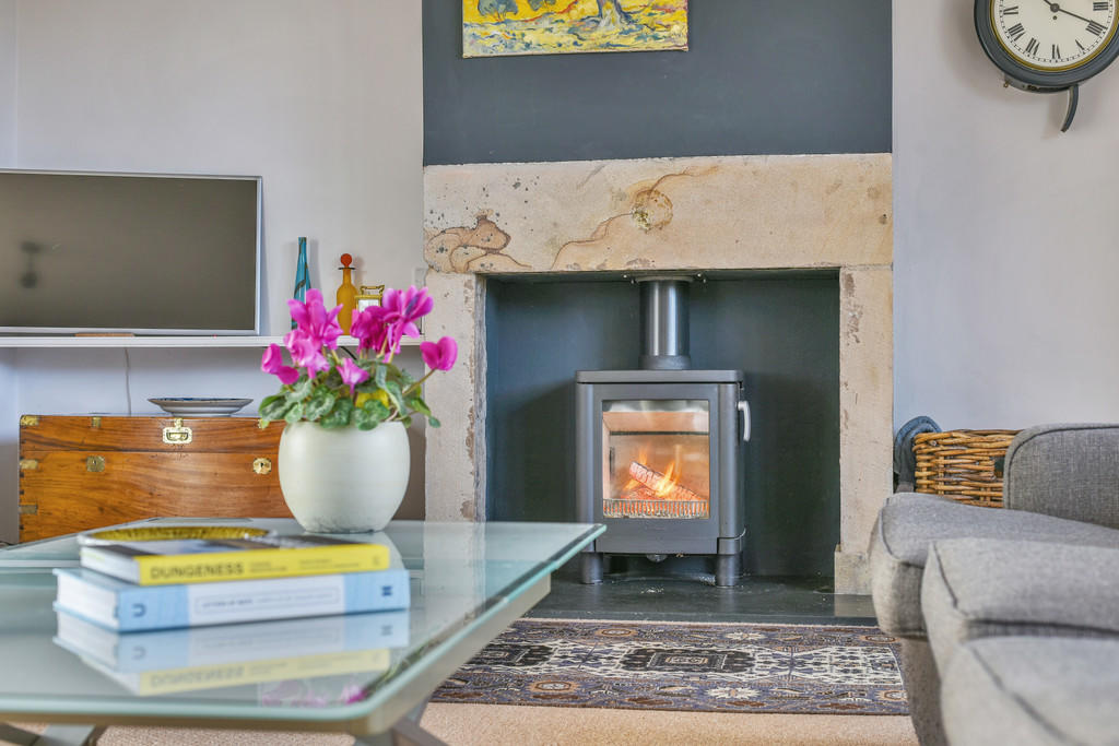 Log Burner Fire P...