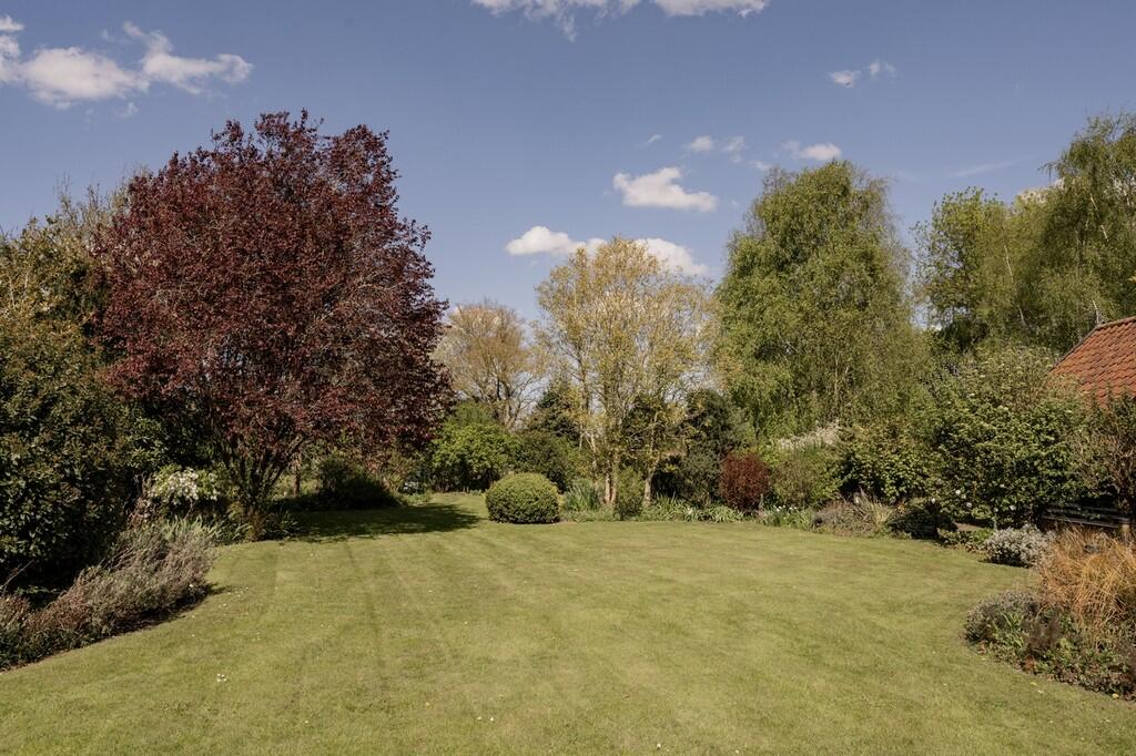 CH18-Cornfield Ha...