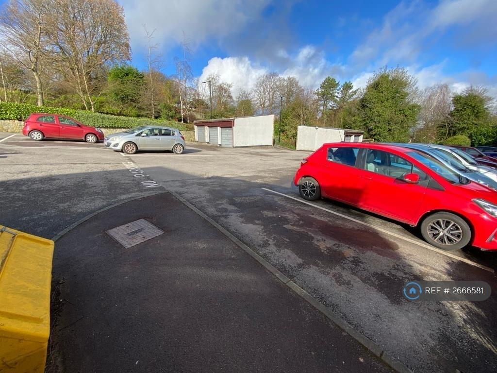 Car Parking