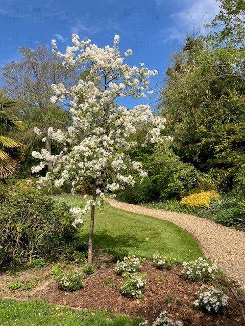 Gardens