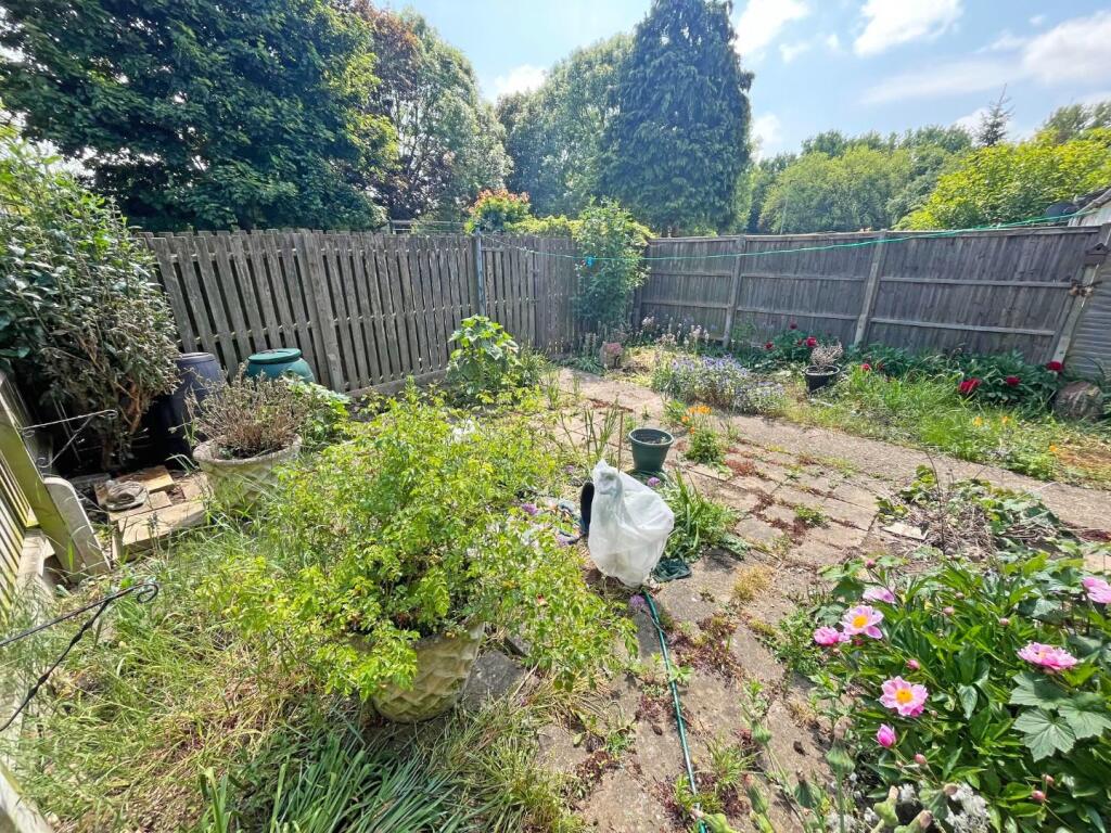 Garden.jpg