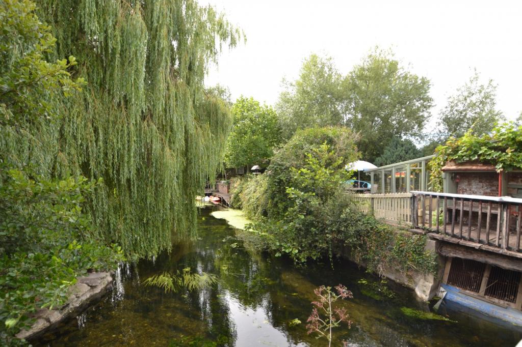 Riverside View
