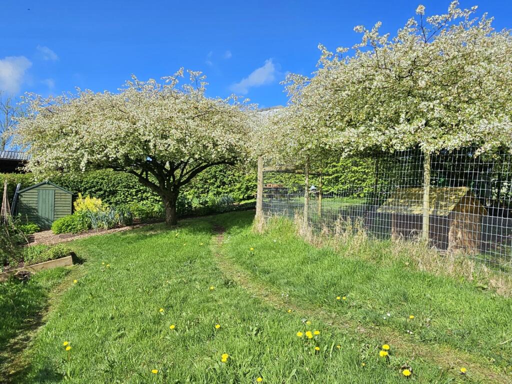 The Cider Press
