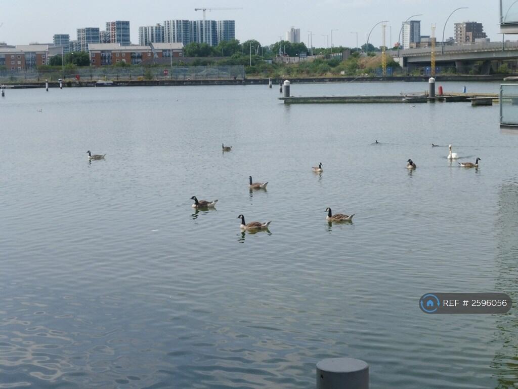 Picturesque Waterside Walks