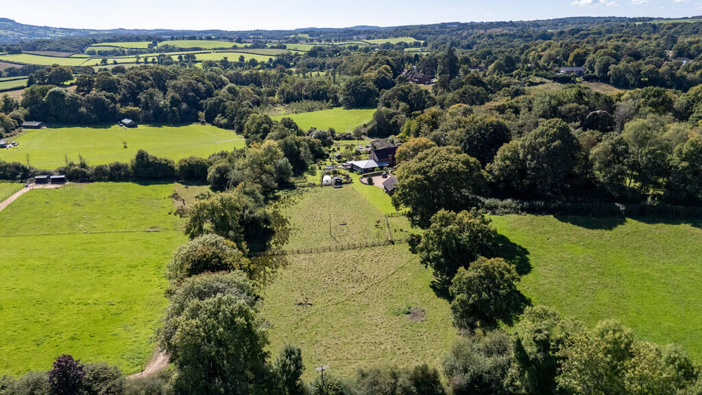 A23 - Cuckoo Down...