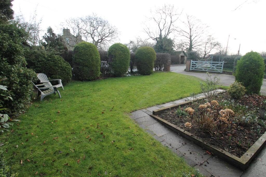 front garden.JPG