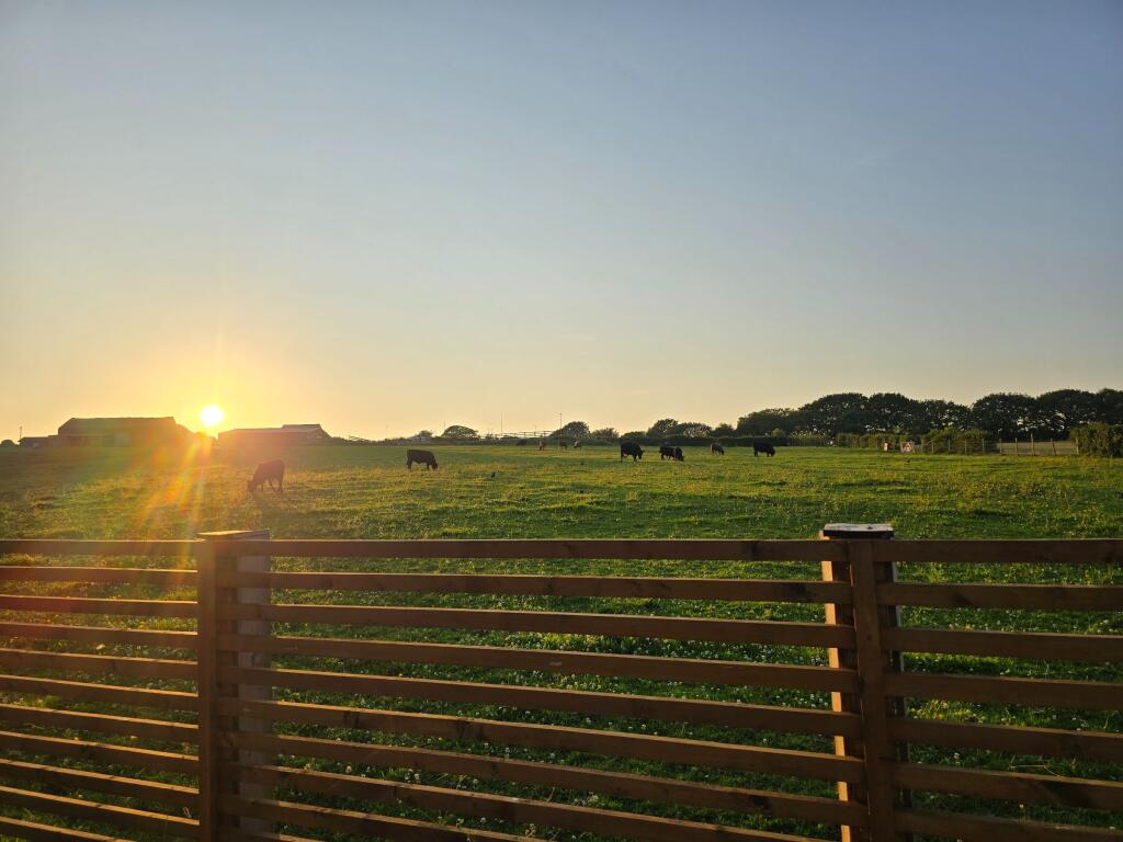 Garden Views