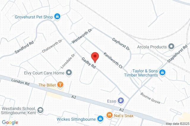Google Maps Image