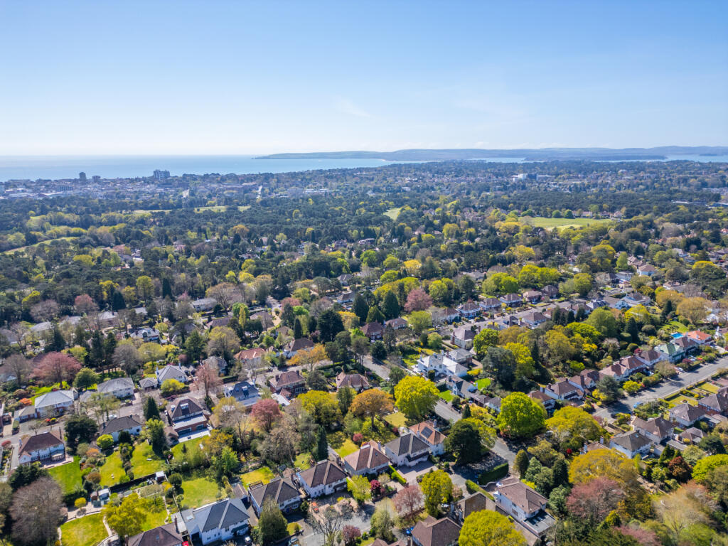 Aerial 3
