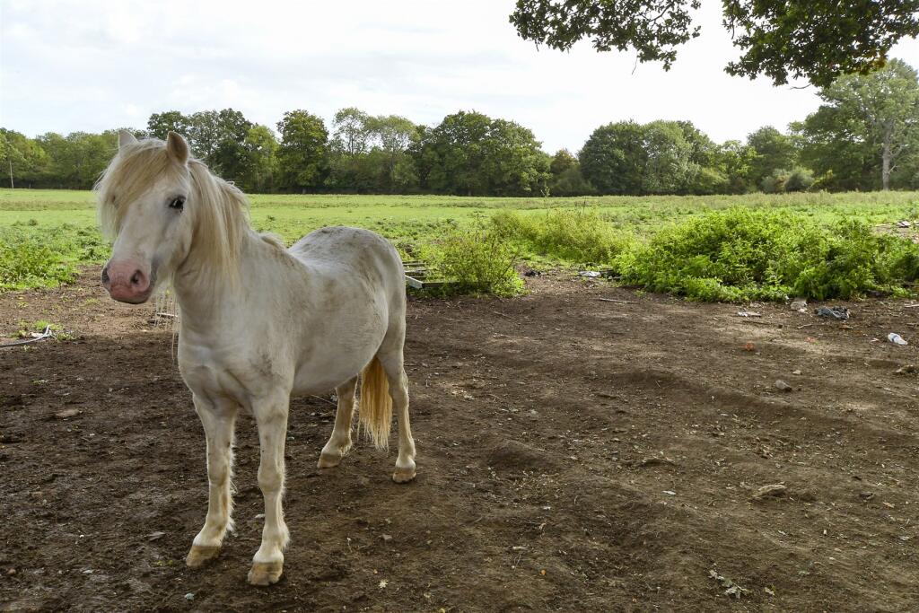 External Lifestyle Photograph