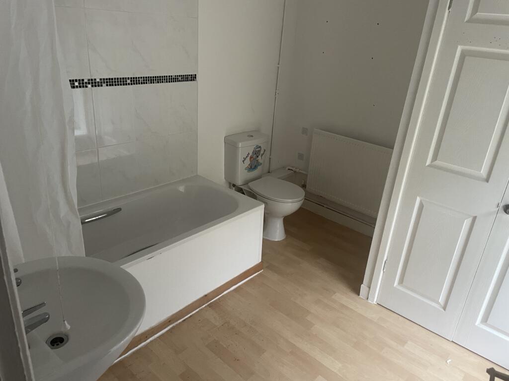 IMG 3804 T202411131337.jpeg