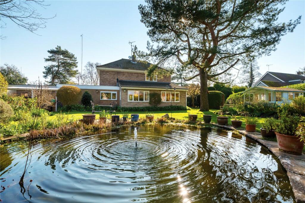 Garden &amp; Pond
