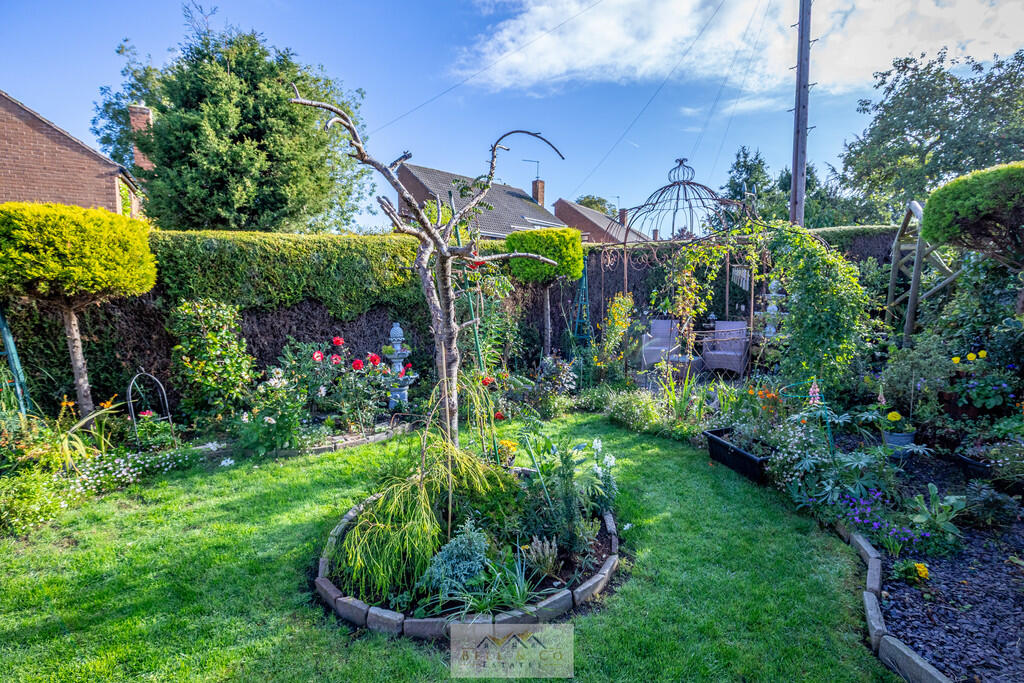 Back garden 1.4