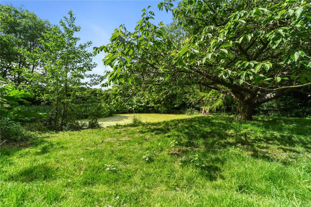 Natural Pond