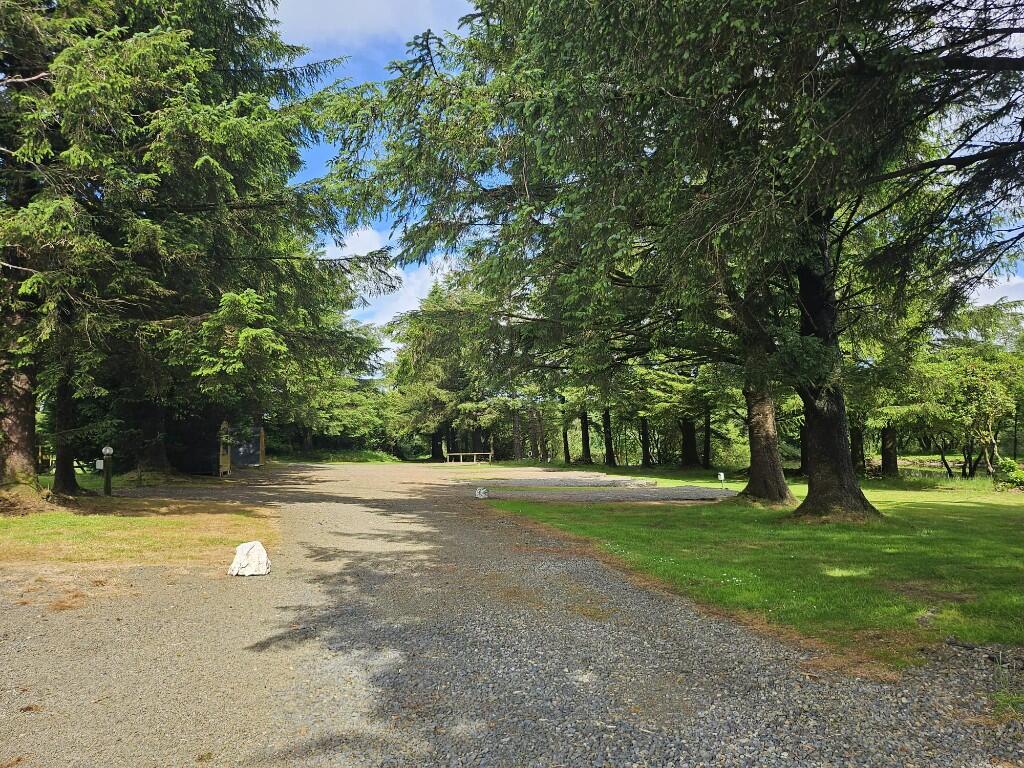 nearby forest walks