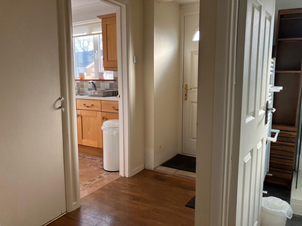 G  Medium  T202502201122.jpg