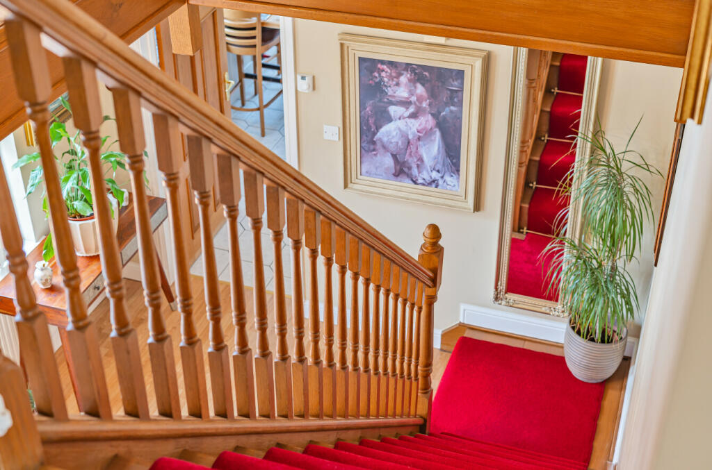 667d3e95065d4-l-1150321 (20)