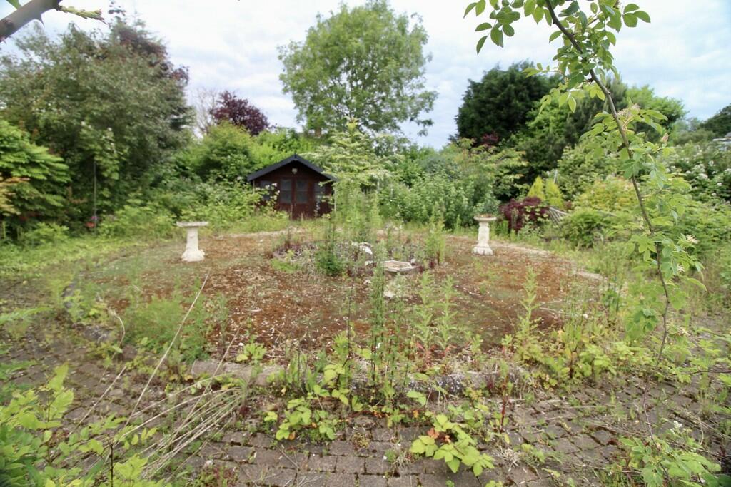 C4704754-9EBE-4FA...