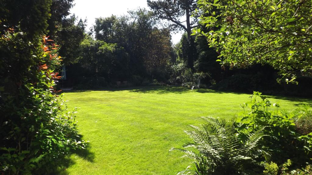 The Communal Garden