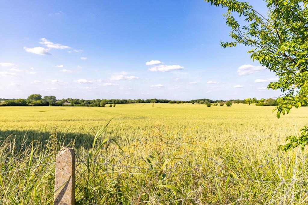 Surrounding Countryside