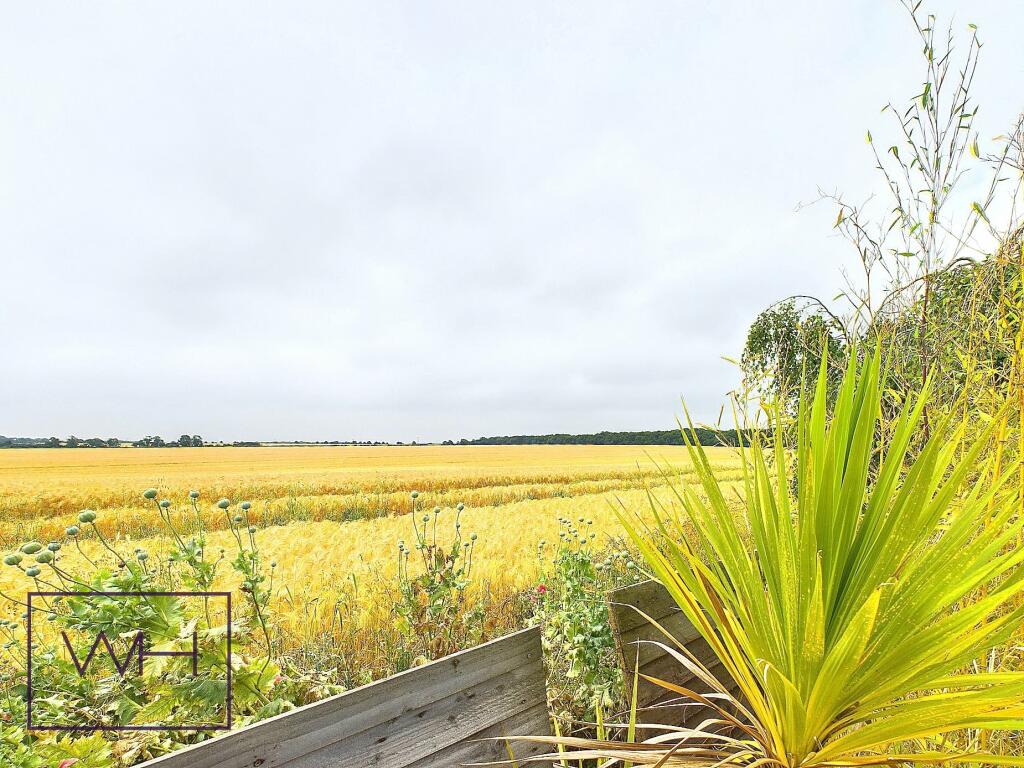 CAM03785G0-PR0076-ST