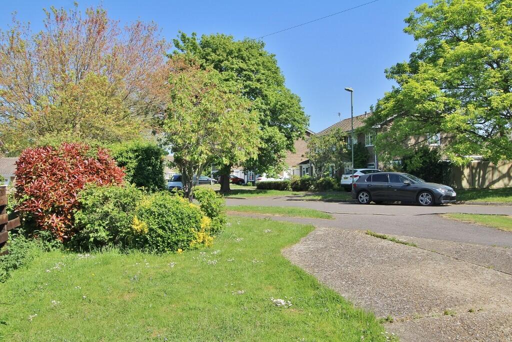 IMG_2311 (1024x68...