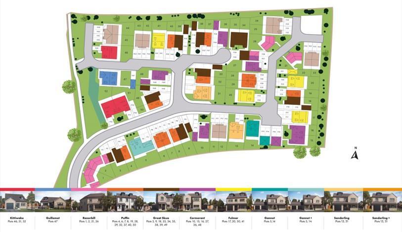 SIte Plan.jpg