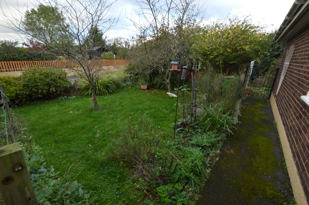 Side Garden
