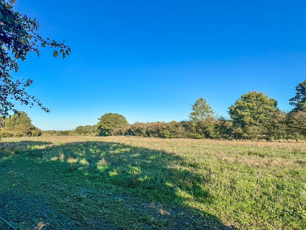 IMG_5618