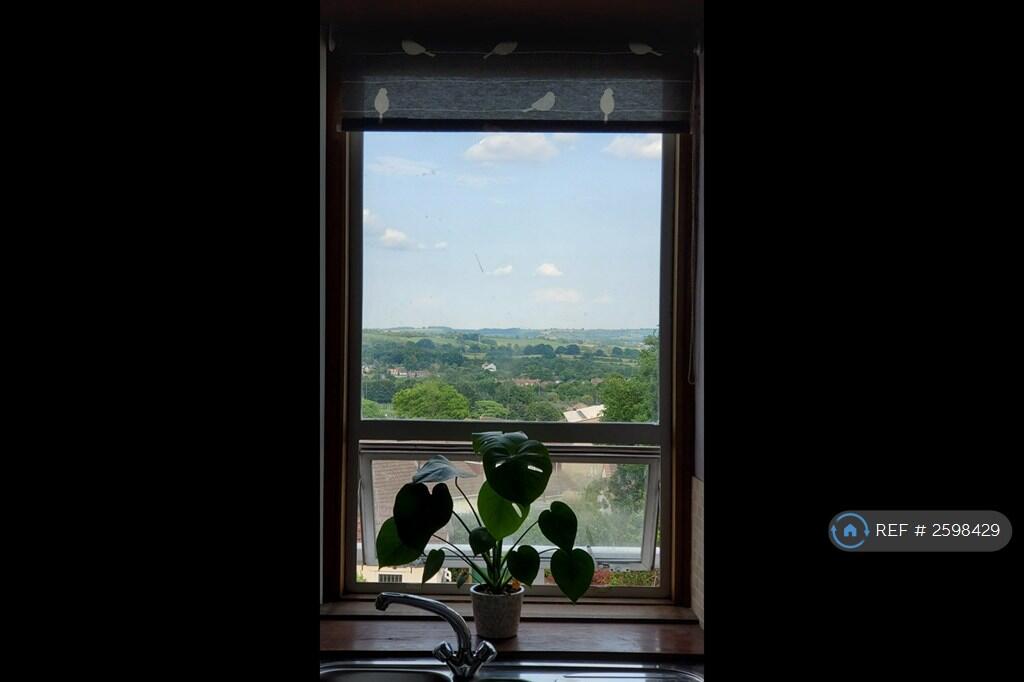 Kitchen Views