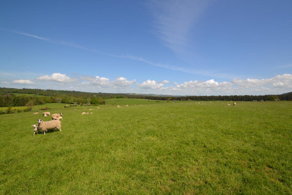 Lot 1