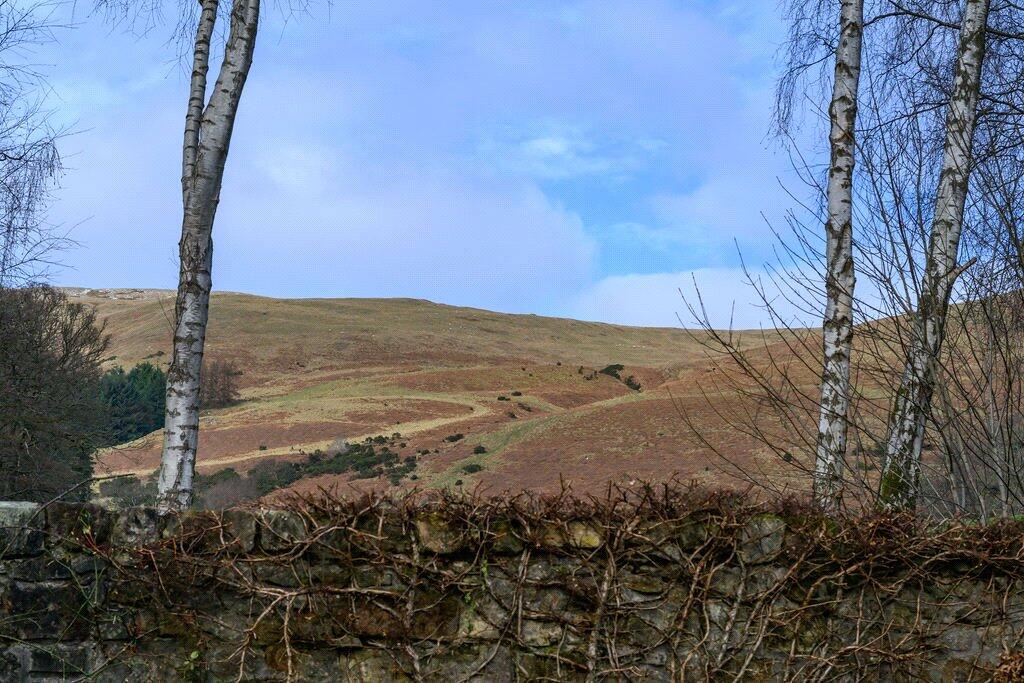 Ochil Hills Backdrop