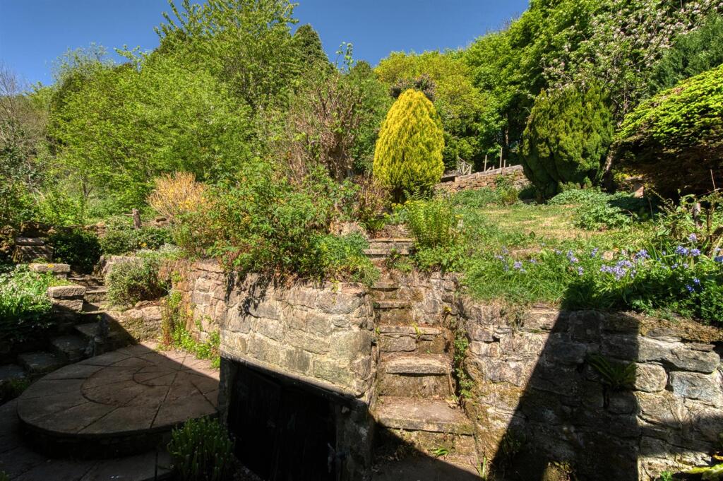 Rear Garden - amphitheatre and steps.jpg