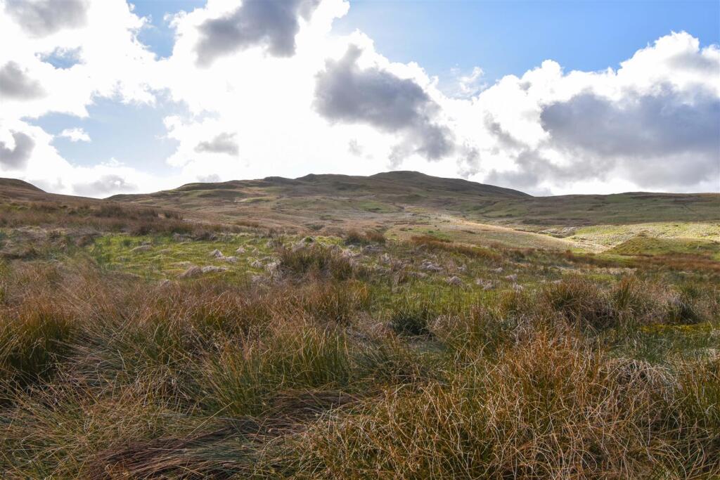 Views of the Surrounding Fells