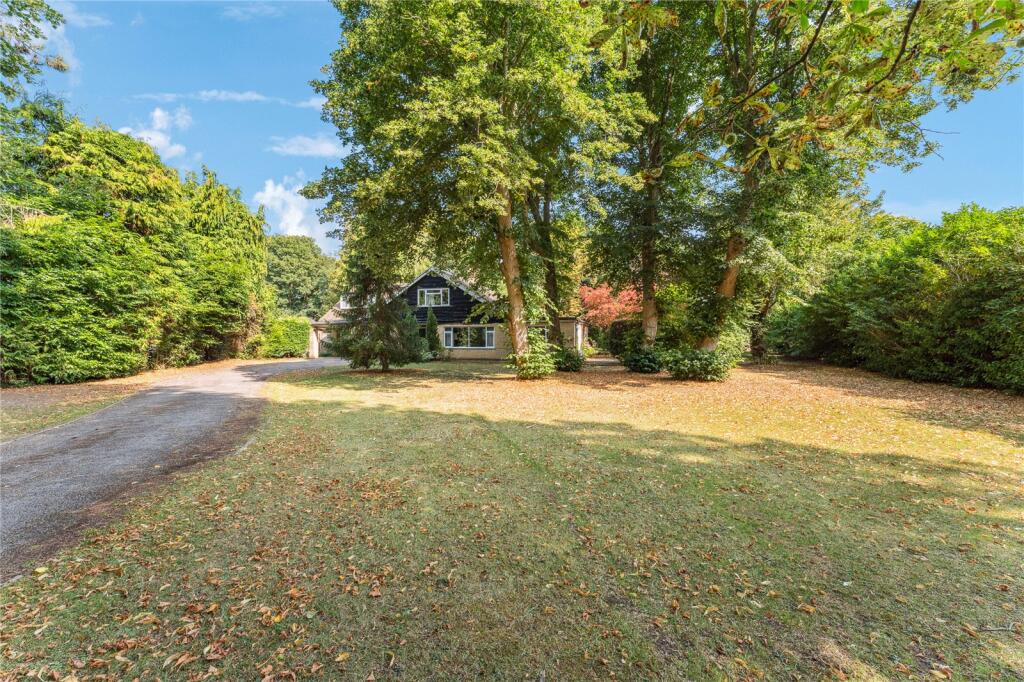Front Garden &amp; Drive