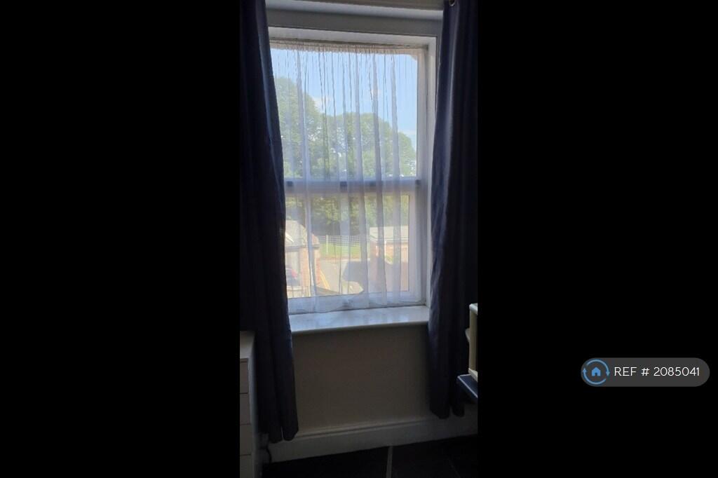Large Window With Pleasant Rear View To Rear