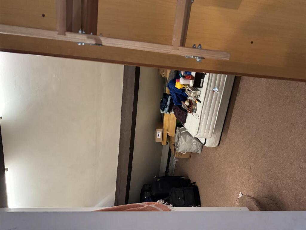 IMG_1709.jpeg