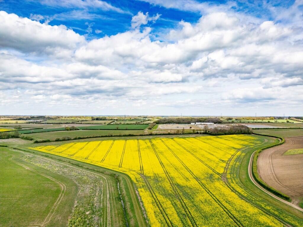 DJI_0424