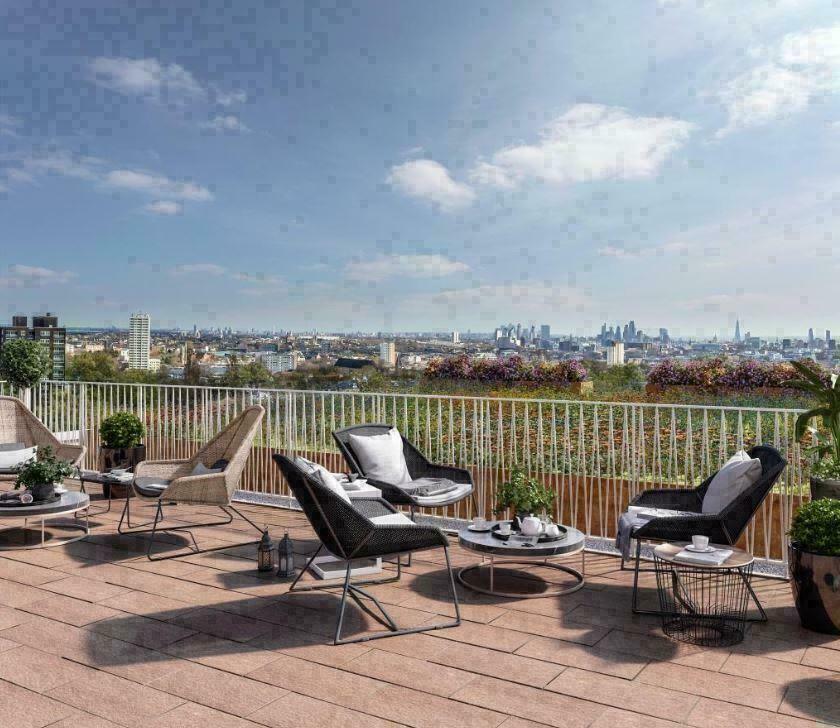 Rooftop Views