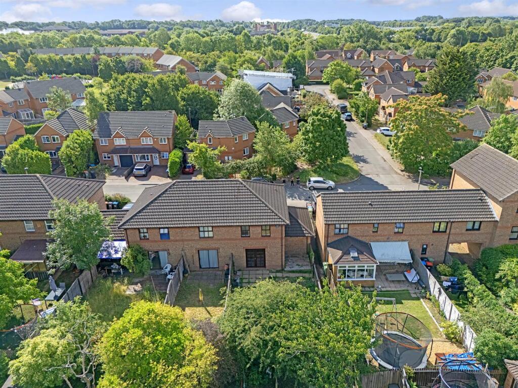 dji_20250313005548_0383_d copy.jpg