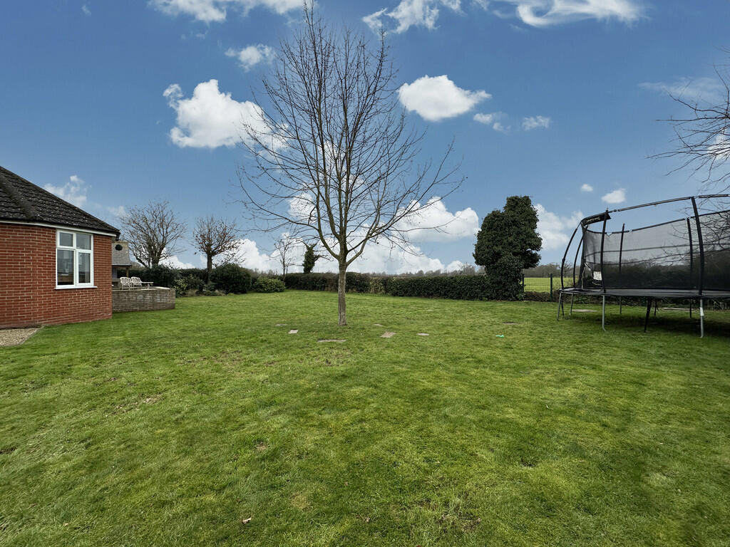 20250213_12213185...