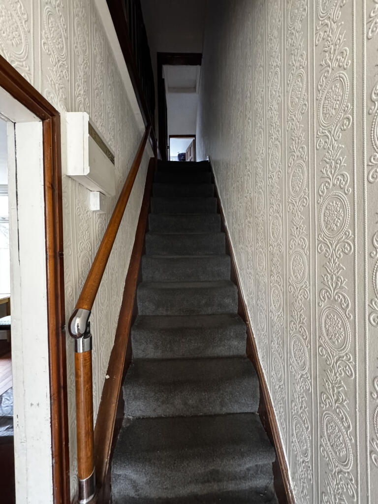 hannanrd9484IMG_0550.jpg