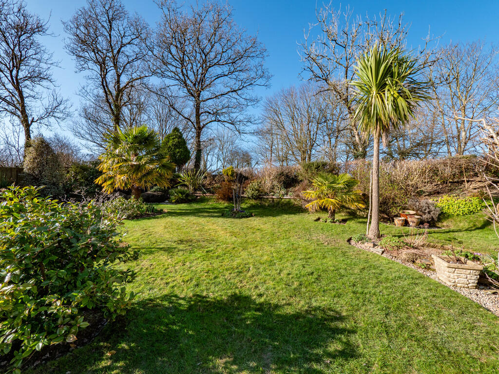 20250305_15313455...