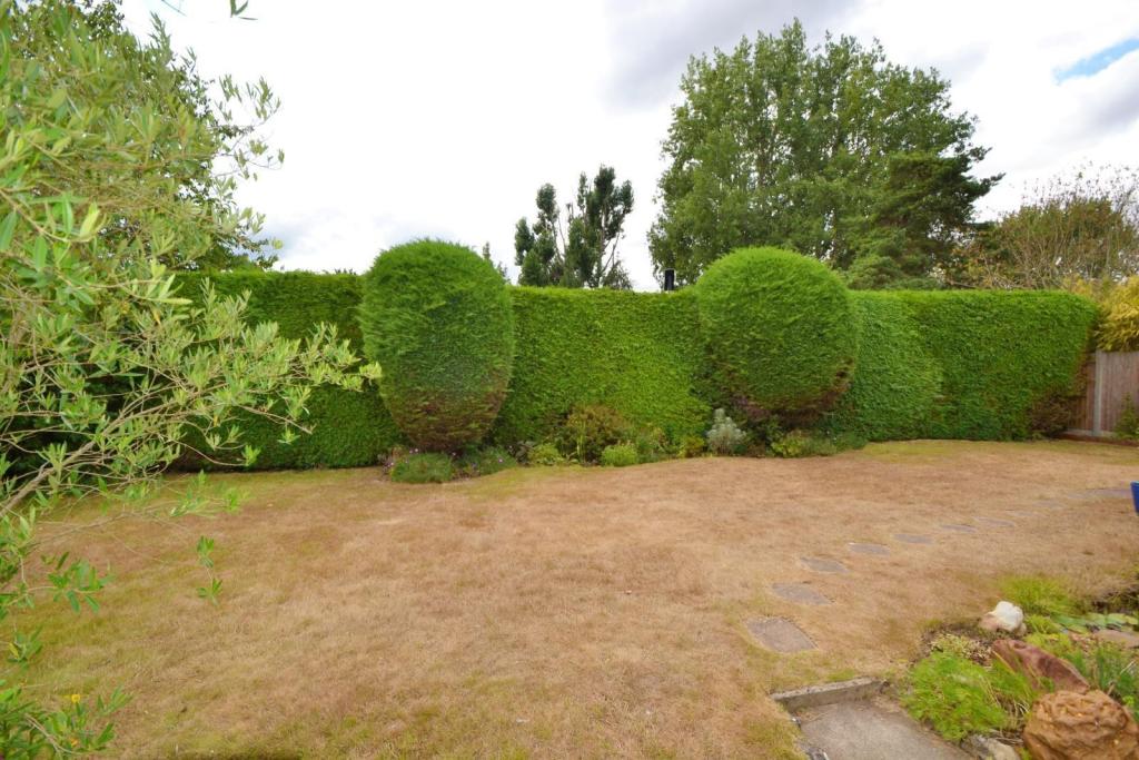 Garden 2