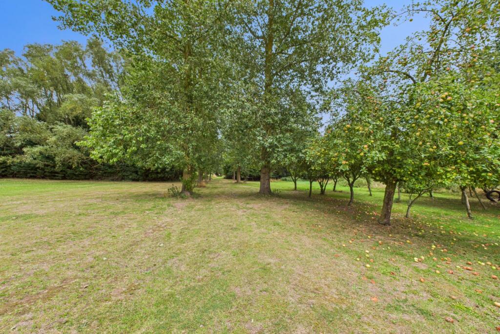 EweMove - Spalding - Garden