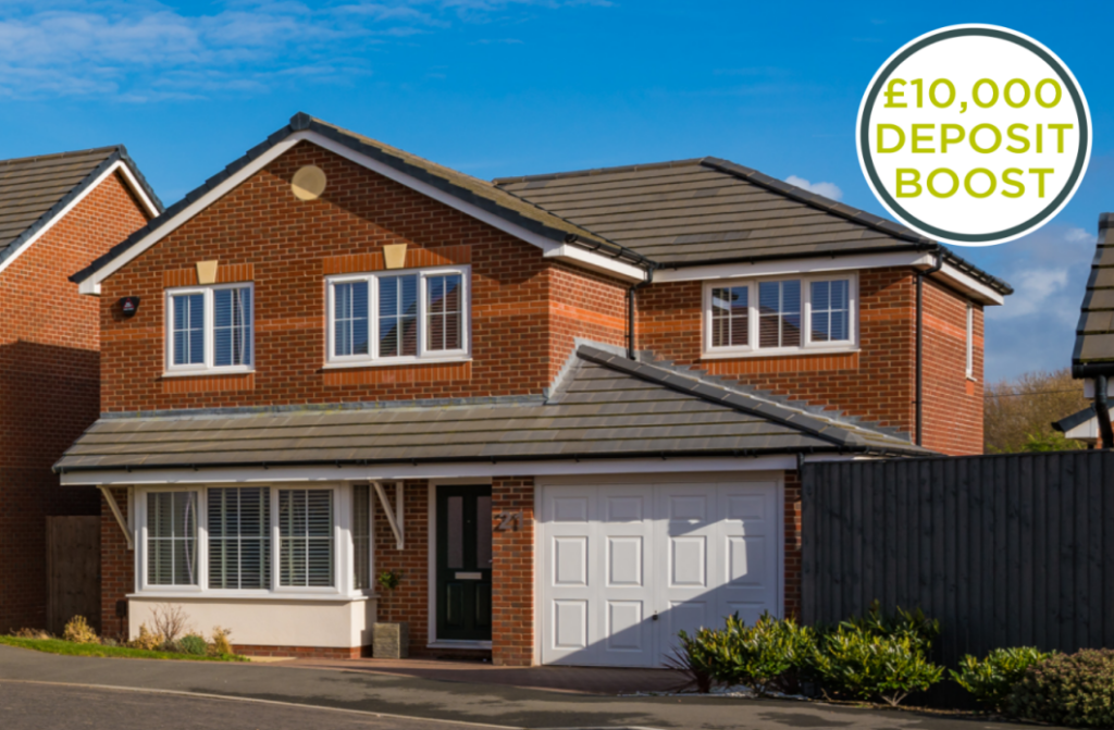 Shore - Redwood Gard